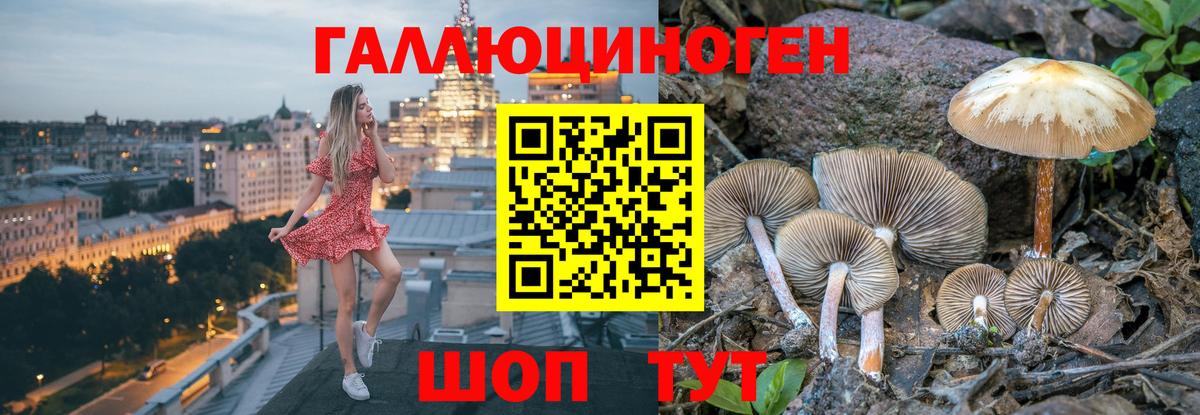 Югорск  Галлюциногенные грибы мицелий  Вход с VPN 