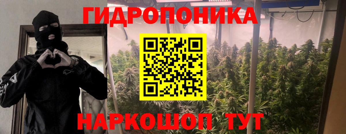 Бошки марихуана план  МАРИХУАНА THC 21%  Югорск  Вход с VPN  Конопля LSD WEED 